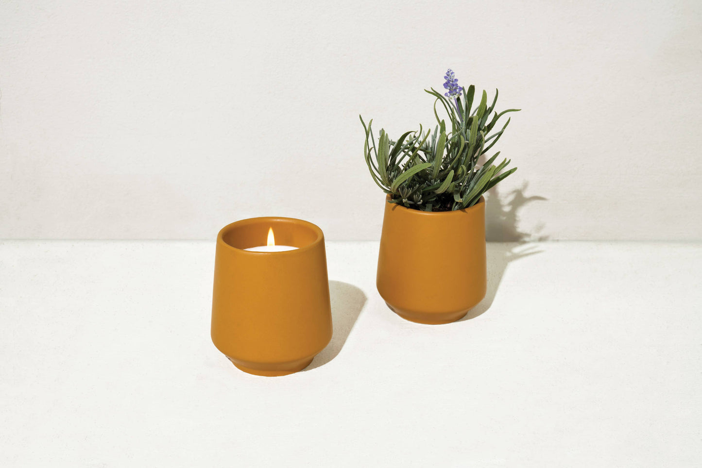 Rooted Candle - Lavender & Neroli
